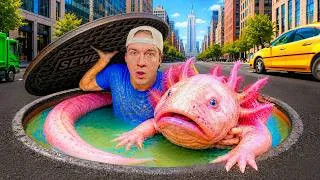 Thumbnail: I Found Fish In Places They Shouldn't Exist...