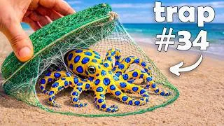 Thumbnail: I Dropped 100 Fish Traps, Here’s What I Found…