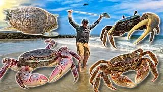 Thumbnail: 4 AWESOME Baits You Can Catch Yourself for Sheepshead, Tog, Trigger Fish and Fluke in New Jersey!