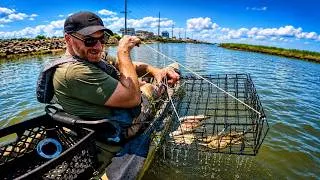 Thumbnail: How Make Kayak Crabbing Successful!