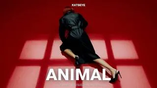 Thumbnail: [캣츠아이] KATSEYE - “Animal” (Short Version) [Version A]