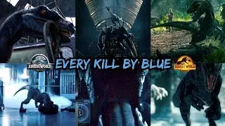 Thumbnail: Every Kill by Velociraptor Blue in the Jurassic Saga! Jurassic World Fallen Kingdom Dominion Camp C 