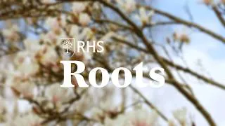 Thumbnail: That's a wrap! | Roots S1 | The RHS