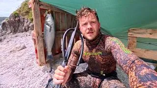 Thumbnail: Solo Camping in a Driftwood Shelter | Spearfishing Catch and Cook