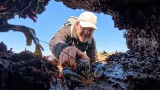 Thumbnail: Coastal Foraging For Lobsters, Crabs and Edible Seaweeds
