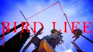 Thumbnail: Bird Life: Natural Selection