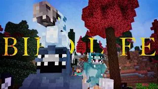 Thumbnail: Bird Life: The Vultures are Circling