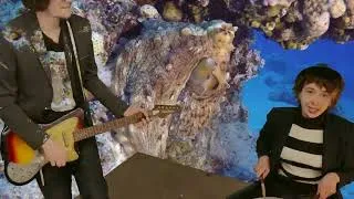Thumbnail: Light Change - The Acute - Alien Theater - The Acute (Official Music Video)