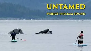 Thumbnail: What We Discovered in Prince William Sound...
