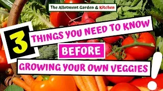 Thumbnail: 3 Important Things You Need to Know Before Growing Your Own Veggies! #137