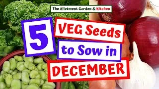 Thumbnail: Veg Seeds to Sow in December - Easy to Grow Veg - Veg Seeds I will be Sowing in December 2023 #136