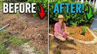 Thumbnail: We OVERHAULED Our Front Yard Landscaping! (Before & After)