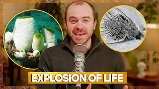 Thumbnail: Biology's Big Bang: The Cambrian Explosion
