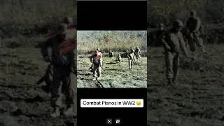 Thumbnail: Combat Pianos in WW2