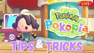 Thumbnail: How to play Pokopia YOUR way