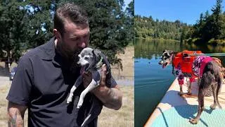 Thumbnail: I adopted a 20 year old senior and he's living his best life in retirement at the sanctuary