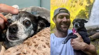 Thumbnail: This one hurts a lot. We had 16 beautiful years together.