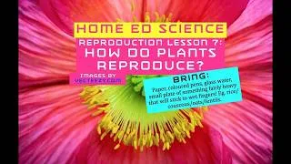 Thumbnail: Reproduction 7: Sexual reproduction in plants