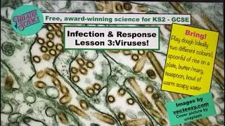 Thumbnail: Infection and Response 3: Viruses