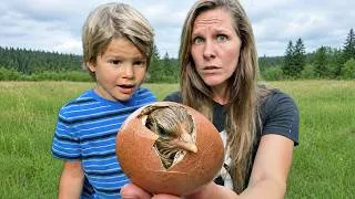 Thumbnail: We Rescued Abandoned Eggs