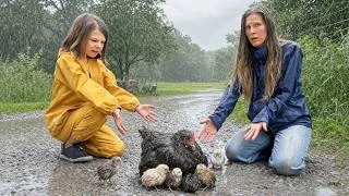Thumbnail: Our Baby Chicks Got Caught in the Rain