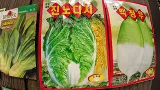 Thumbnail: FALL GARDEN -  EASY WAY TO PLANT AND GROW THESE 9 SEEDS