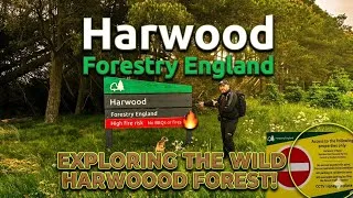 Thumbnail: Harwood forest Northumberland 