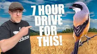 Thumbnail: I did a crazy 7 hour Drive for THIS Bird? 3rd UK record