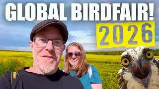 Thumbnail: Global Birdfair 2026 – Is It really Worth Visiting?