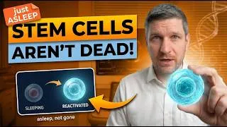 Thumbnail: 99% of Your Stem Cells Aren't Dead — They're Just Asleep (Wake Them Tonight)