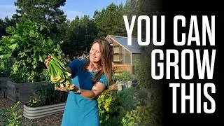 Thumbnail: I Grew a Year's Worth of Celery in One Raised Bed