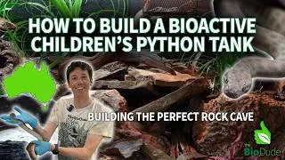 Thumbnail: How to Build a Bioactive Children's Python Terrarium