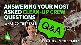 Thumbnail: Bioactive Terrarium Clean-Up Crew Q&A