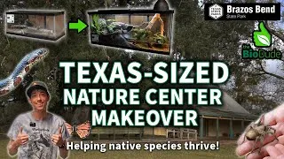 Thumbnail: Revamping the Nature Center at Brazos Bend State Park!