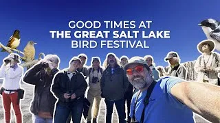 Thumbnail: The 2024 Great Salt Lake Bird Festival Was Awesome!