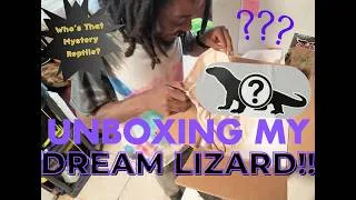 Thumbnail: Unboxing My Dream Lizard !!!!