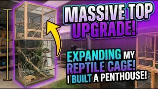 Thumbnail: Building UP: Modifying My Cage for Massive Top-Level Space