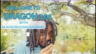 Thumbnail: part 4 Monitor Lizard Handling 101: Building Trust Without Getting Bitten