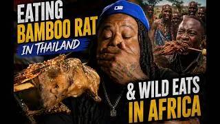 Thumbnail: EATIMG BAMBOO RAT IN THAILAND & WILD EATS IN AFRICA