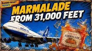 Thumbnail: The Air Crash Evidence the Public Never Heard
