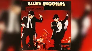 Thumbnail: The Blues Brothers - Riot in Cell Block Number Nine (Official Audio)