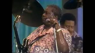 Thumbnail: B.B. King - Live at The Woodlands 1993