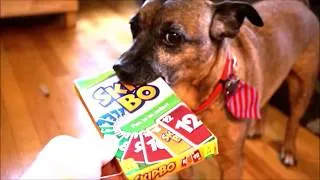 Thumbnail: How To Play Skip Bo - A Quick and Funny Tutorial On How To Play SkipBo By The Board Game Master