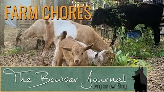 Thumbnail: Farm Chores