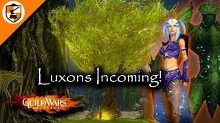 Thumbnail: Guild Wars Reforged - Protect The Forever Trees! (Eternal Grove)