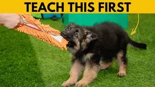 Thumbnail: First Things to Teach Your GERMAN SHEPHERD Puppy