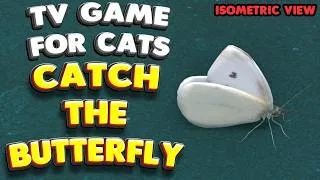 Thumbnail: Cat TV | Catch the Butterfly (Isometric) | 10 Hours | 4K 60 FPS