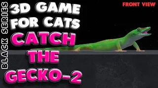 Thumbnail: Cat TV | Catch the Gecko 2 (Front) | 10 Hours | 4K 60 FPS