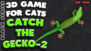 Thumbnail: Cat TV | Catch the Gecko 2 (Top) | 10 Hours | 4K 60 FPS
