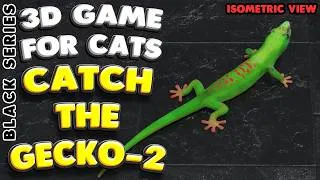 Thumbnail: Cat TV | Catch the Gecko 2 (Isometric) | 10 Hours | 4K 60 FPS
